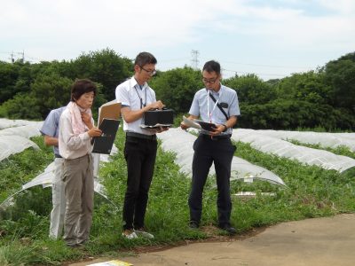 農場見学／スイカのほ場