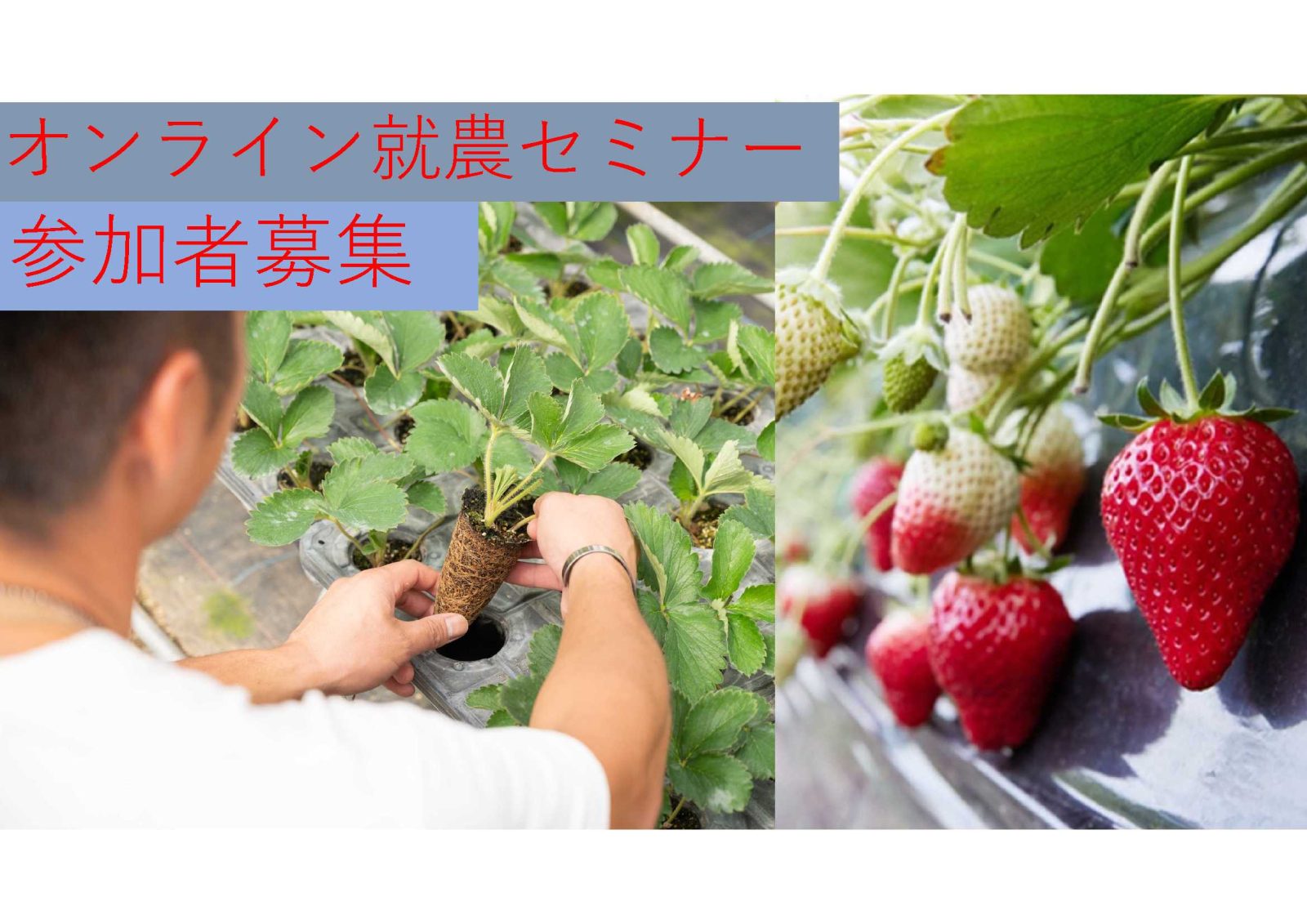 第2回 オンライン就農セミナー ~先輩農業者と話そう! 農業ってどう始めるの?~