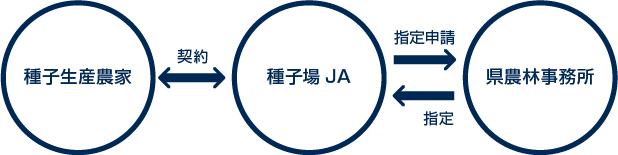 種子生産農家←契約→種子場JA→指定申請、指定←県農林事務所