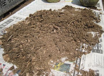 落花生の育て方　肥料　堆肥、腐葉土