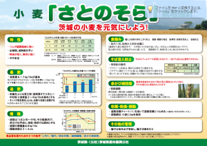 さとのそら栽培指針